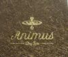 Animus Day Spa